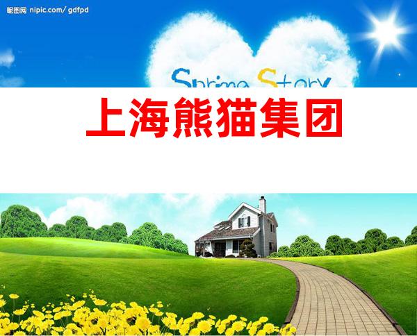 上海熊猫集团