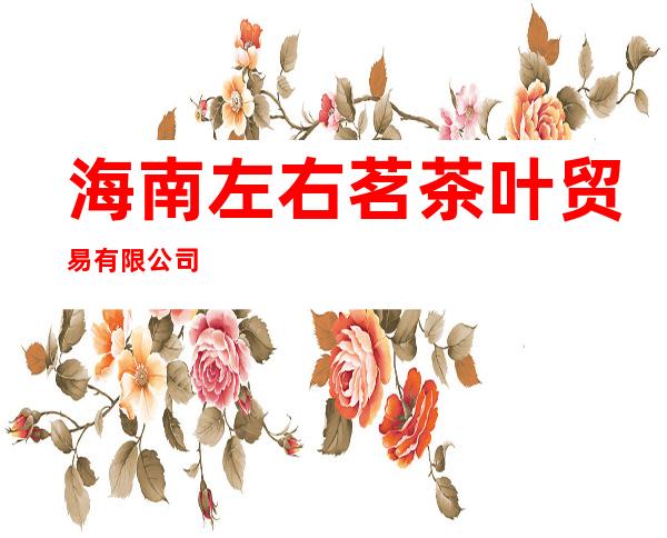 海南左右茗茶叶贸易有限公司